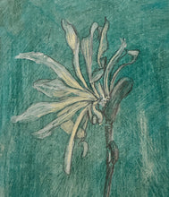 Load image into Gallery viewer, 'Fading Magnolia' Drawing on hand printed paper, Studio Sale