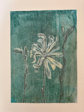 Load image into Gallery viewer, 'Fading Magnolia II', Drawing and acrylic on hand printed paper, Studio Sale