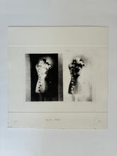 Load image into Gallery viewer, 'Tailor Made' Solar Plate Etching, Studio Sale
