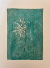 Load image into Gallery viewer, 'Fading Magnolia' Drawing on hand printed paper, Studio Sale

