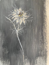 Load image into Gallery viewer, ‘Love in A Mist’ Original Art Work on Grey Background in Metal and Glass Frame
